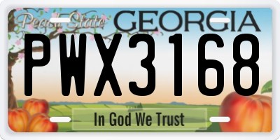 GA license plate PWX3168
