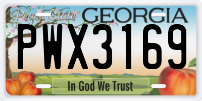 GA license plate PWX3169