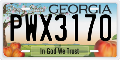 GA license plate PWX3170