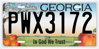 GA license plate PWX3172
