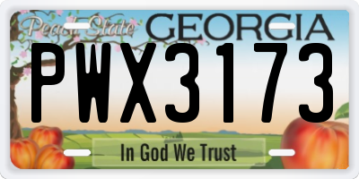 GA license plate PWX3173
