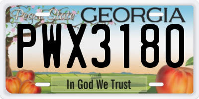 GA license plate PWX3180
