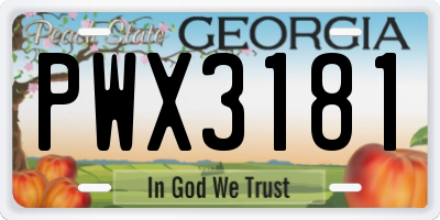 GA license plate PWX3181