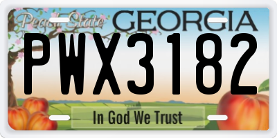 GA license plate PWX3182