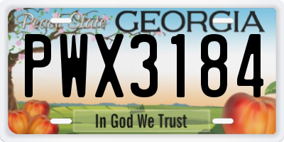 GA license plate PWX3184