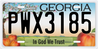 GA license plate PWX3185