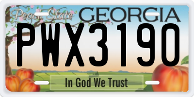 GA license plate PWX3190