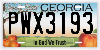 GA license plate PWX3193