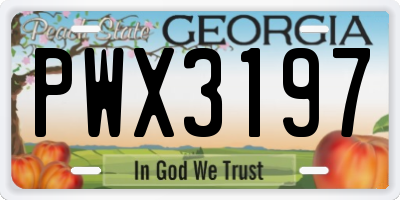 GA license plate PWX3197
