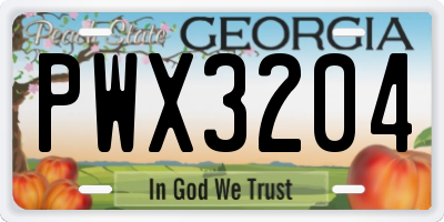 GA license plate PWX3204