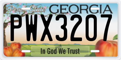 GA license plate PWX3207