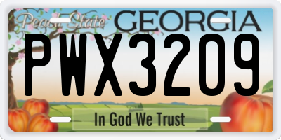 GA license plate PWX3209