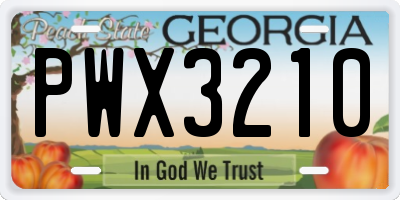 GA license plate PWX3210