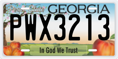 GA license plate PWX3213