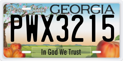 GA license plate PWX3215
