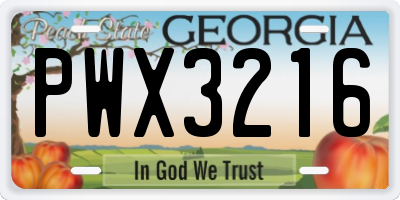 GA license plate PWX3216