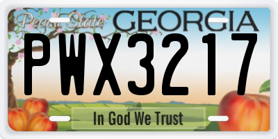 GA license plate PWX3217