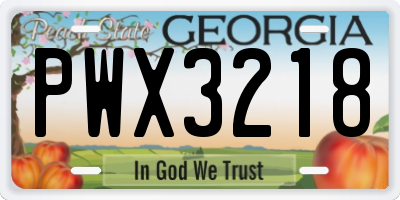 GA license plate PWX3218
