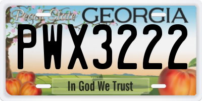 GA license plate PWX3222