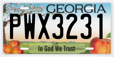 GA license plate PWX3231