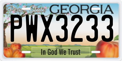 GA license plate PWX3233