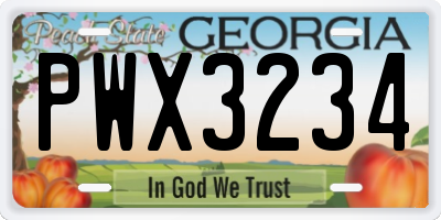 GA license plate PWX3234