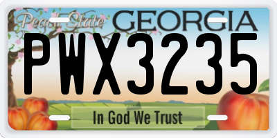 GA license plate PWX3235