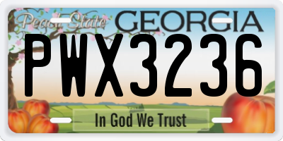 GA license plate PWX3236