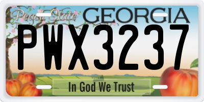 GA license plate PWX3237