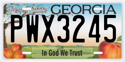 GA license plate PWX3245