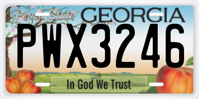 GA license plate PWX3246