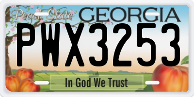 GA license plate PWX3253