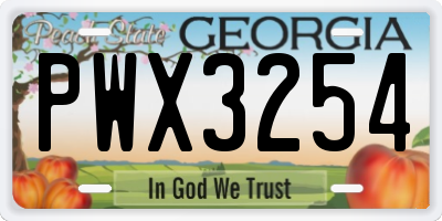 GA license plate PWX3254