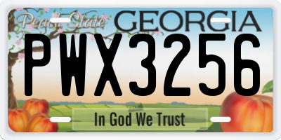 GA license plate PWX3256