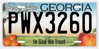 GA license plate PWX3260