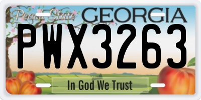 GA license plate PWX3263