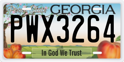 GA license plate PWX3264