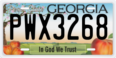 GA license plate PWX3268
