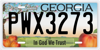 GA license plate PWX3273