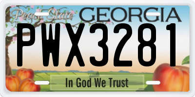 GA license plate PWX3281