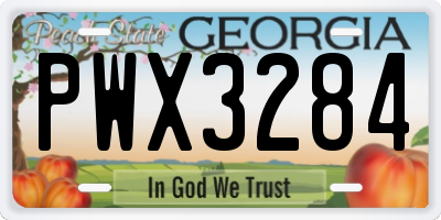GA license plate PWX3284