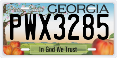 GA license plate PWX3285