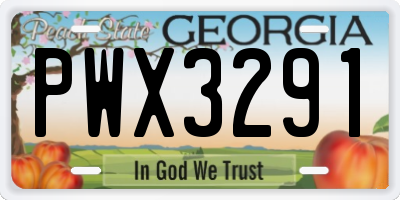 GA license plate PWX3291