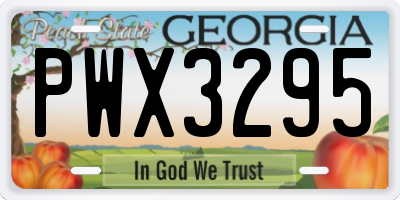 GA license plate PWX3295