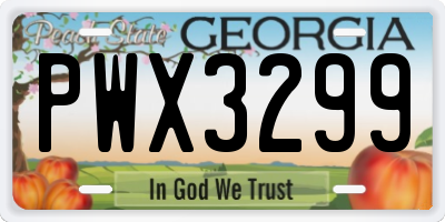 GA license plate PWX3299