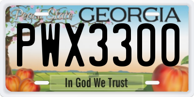 GA license plate PWX3300