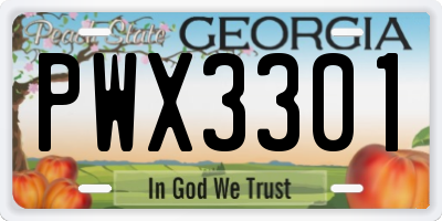 GA license plate PWX3301