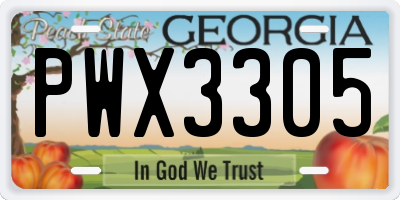 GA license plate PWX3305