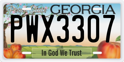 GA license plate PWX3307
