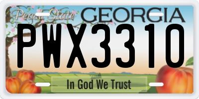 GA license plate PWX3310